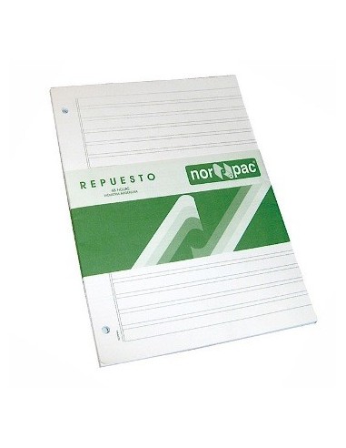 Repuesto Caligrafia 2 Rayas 48hojas Rep650 Nor-pac (b10)