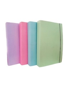 Estuche Lomo 5cm C-elastico Color Pastel 50030 Gadri -b10-
