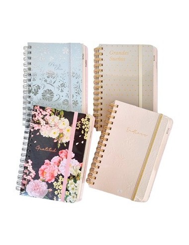 Cuaderno 14x20 Deluxe T-dura C-espiral Escalonado 1097 Rey02