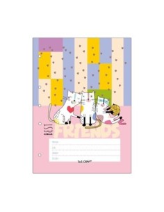 Separador Materia A4 X6 Unid. Surt Ibi Craft 076676 076677 Ibi01 2