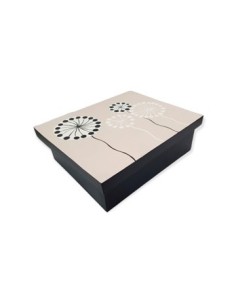 Caja P-te 23x28 Tapa Pintada Surt  Y Divisiones Internas Uni01