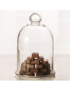 Campana Vidrio 30cm 7088 Dol01