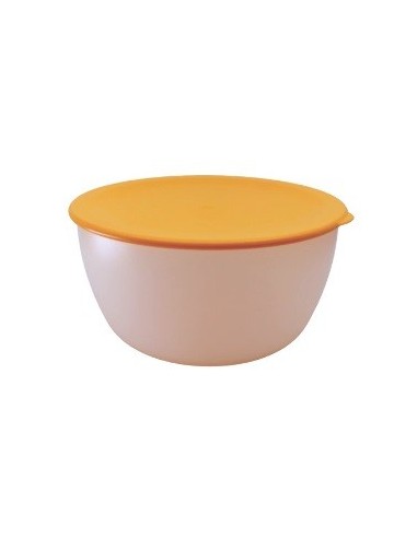 Hermetico Red  400cc Color Pastel Bp35018-35019 Dol01