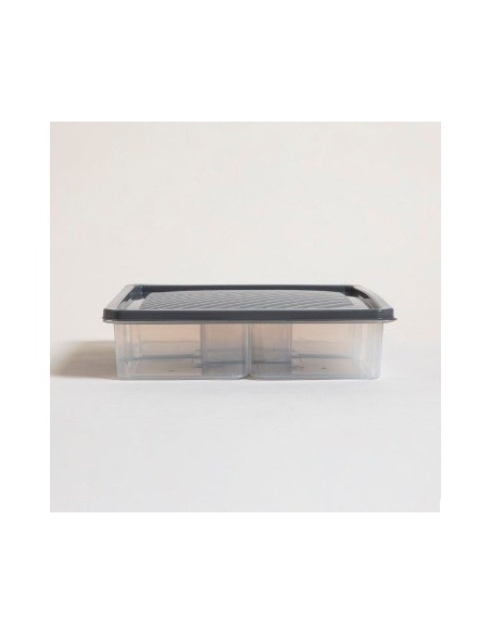 Hermetico 5 Divisiones Cuadrado 0129652 Mish02