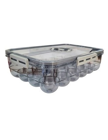 Huevera X 24 Acrilico  31x20x9cm C-tapa C-traba Trasnp  Ns337642-ns249966 Ns249966z1 Pk01