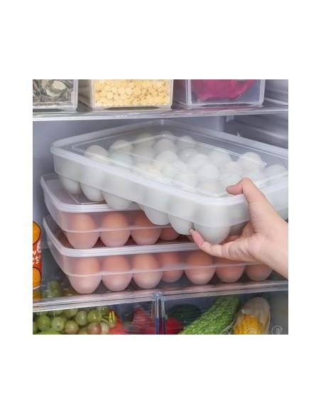 Huevera X 24 Plast  29 5x21 5 Trasnp  C4734 Dec01 337643 Pk01