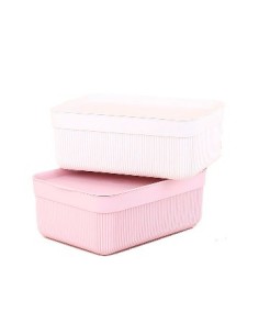 Canasto 23x17 Plast  Raya C-tapa B4860 Dec01