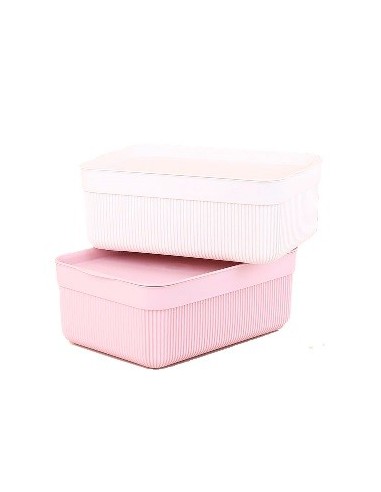 Canasto 23x17 Plast  Raya C-tapa B4860 Dec01