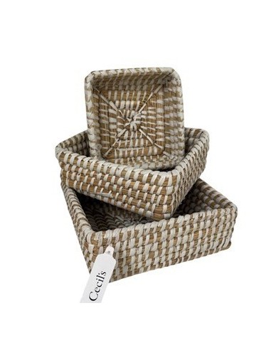 Canasto 15x5cm Cuad Seagrass Ce62283 Cec03