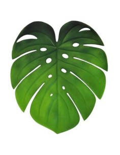 Individual 45cm Botanicos Pvc 25601460-25601461 Tal01