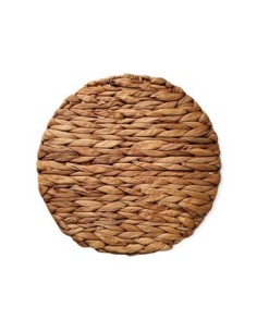 Individual 38cm Red Seagrass 25602276 Tal01 Jm1525 Mta01