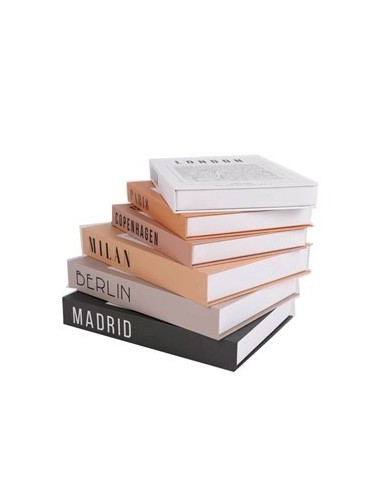 Cajas X 2 Falso Libro Cc201 Cc205 Vgo01