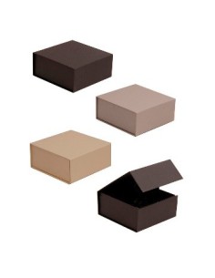 Caja Plegable 16x16x7 Cc102 Vgo01