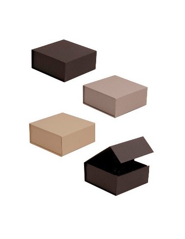 Caja Plegable 16x16x7 Cc102 Vgo01