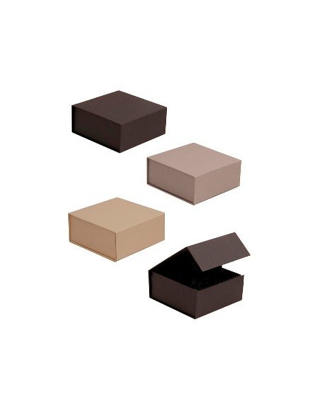 Caja Plegable 16x16x7 Cc102 Vgo01