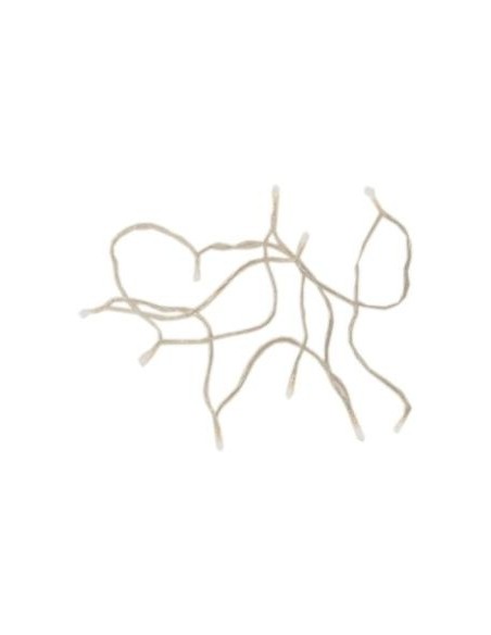 Tira Led 2mts 10 Luces Calidas Led2f Gal01