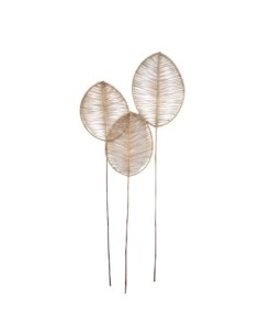 Hoja 1 50mt Rattan Deluxe Am01