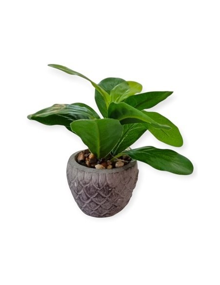 Maceta 15cm Ceramica C-planta Ra22949 Rey03