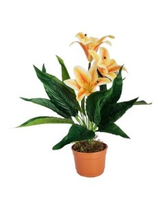 Maceta 41cm C-flor Lily Bush Fl37723 Cec03