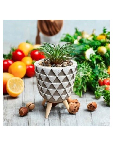 Maceta Nordica 14x7 5cm C-suculenta C-pie Madera G120-2019 Man02