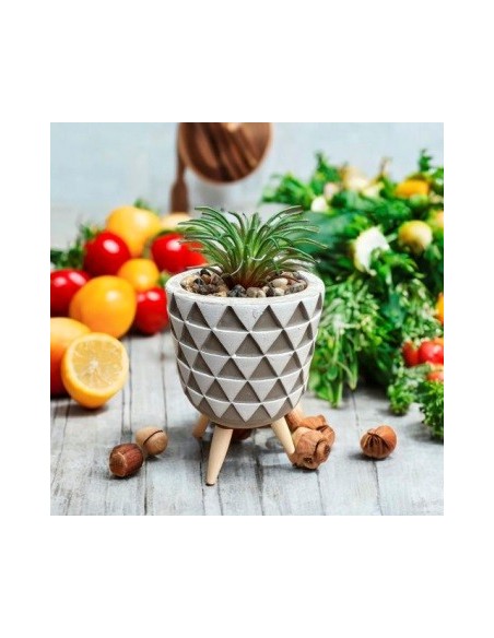 Maceta Nordica 14x7 5cm C-suculenta C-pie Madera G120-2019 Man02