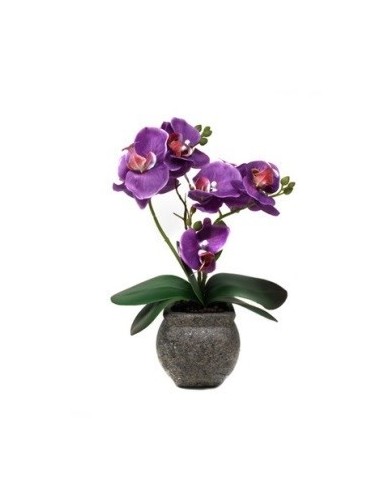 Maceta 36cm C-orquidea Violeta O47 Gal01 -m-