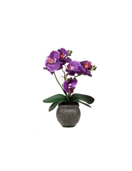 Maceta 36cm C-orquidea Violeta O47 Gal01 -m-