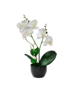 Maceta 32cm C-orquidea Blanca-rosa O54-o19 Gal01 -m-