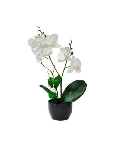 Maceta 32cm C-orquidea Blanca-rosa O54-o19 Gal01 -m-