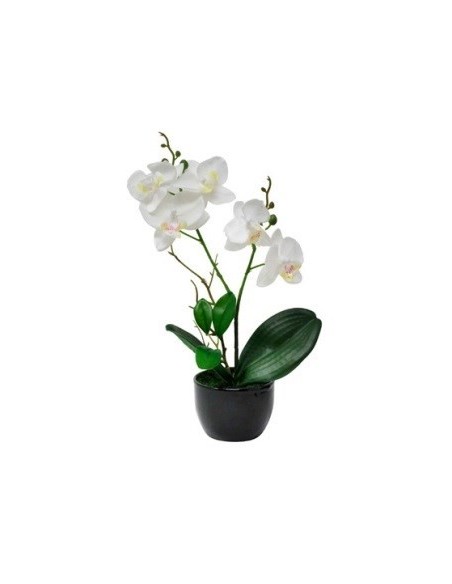 Maceta 32cm C-orquidea Blanca-rosa O54-o19 Gal01 -m-