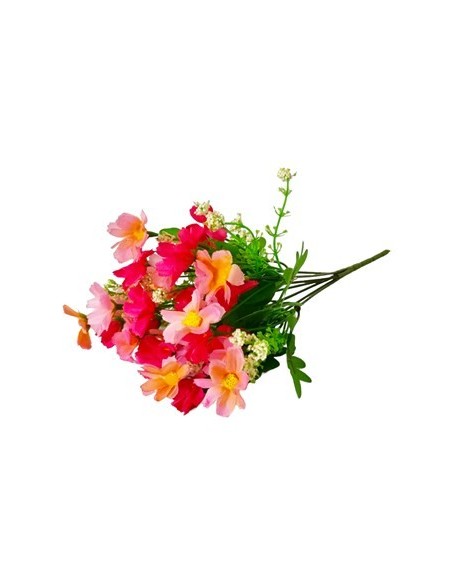 Ramo X5 27cm Cosmos Mini Fl52331 Cec03