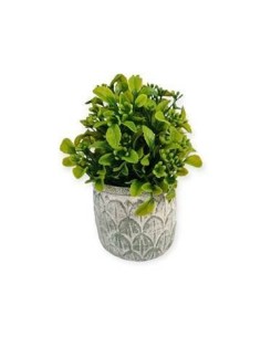 Maceta Ceramica C- Planta 15cm 201041 Pen01
