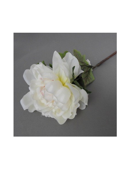 Vara 65cm Peonia C-pimpollo Lily31 Cz1 Gfl01