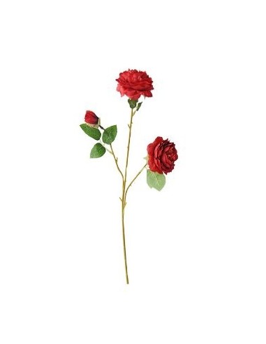 Ramo X3 Rosas Fa266-fa270 Jun02