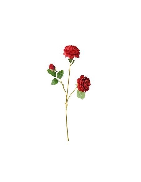 Ramo X3 Rosas Fa266-fa270 Jun02