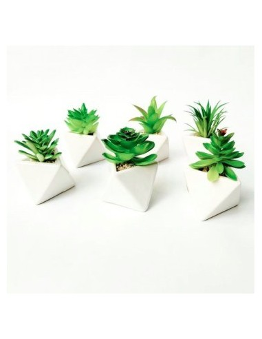 Maceta C-suculenta Geometrica-copa G120-1860 G120-1906 1201860 1201906 Man02