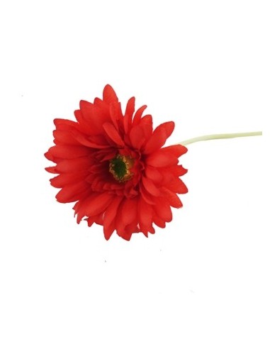 Vara 50cm Gerbera Fl15100 6620 Bourg