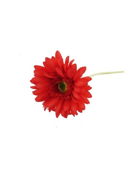 Vara 50cm Gerbera Fl15100 6620 Bourg