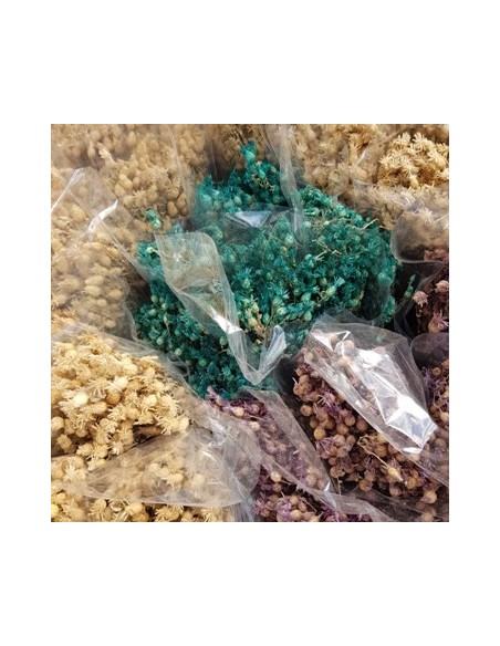 Ramo Flores Farolitos Secas Colore Surt  Csm01