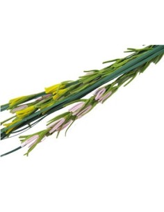 Vara 80cm Cortadera C-15flores 20-4-9 816489 Enc02 -b12-