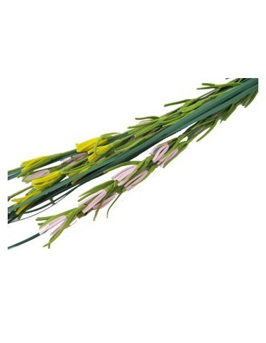 Vara 80cm Cortadera C-15flores 20-4-9 816489 Enc02 -b12-