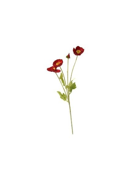 Vara 60cm Amapola Fa305-fa306 Jun02 5857-4001-4054 Solci -b12-