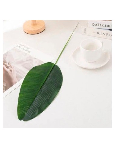 Hoja 65cm Platano G1201919 Man02