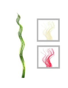 Varas X20 Mimbre 1 20mt Rulos Color As1849 01001 Fre01  -b6-