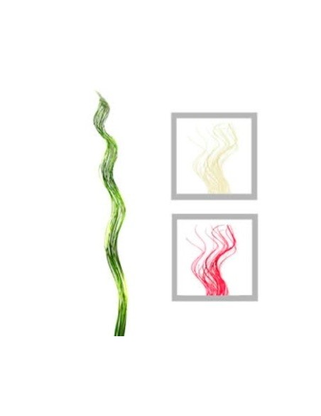 Varas X20 Mimbre 1 20mt Rulos Color As1849 01001 Fre01  -b6-