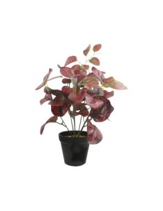 Maceta Plastica C- Planta 36cm Fa146 Fa147 Jun02