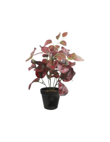 Maceta Plastica C- Planta 36cm Fa146 Fa147 Jun02