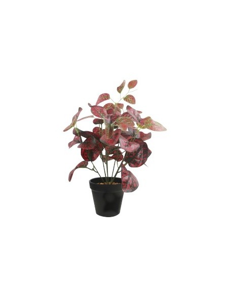 Maceta Plastica C- Planta 36cm Fa146 Fa147 Jun02