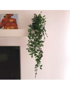 Planta Colgante C-maceta 60cm G120-1943 1201939 1201943 Man02