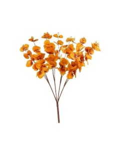 Vara 46cm Eucalipto Fa280 Jun02